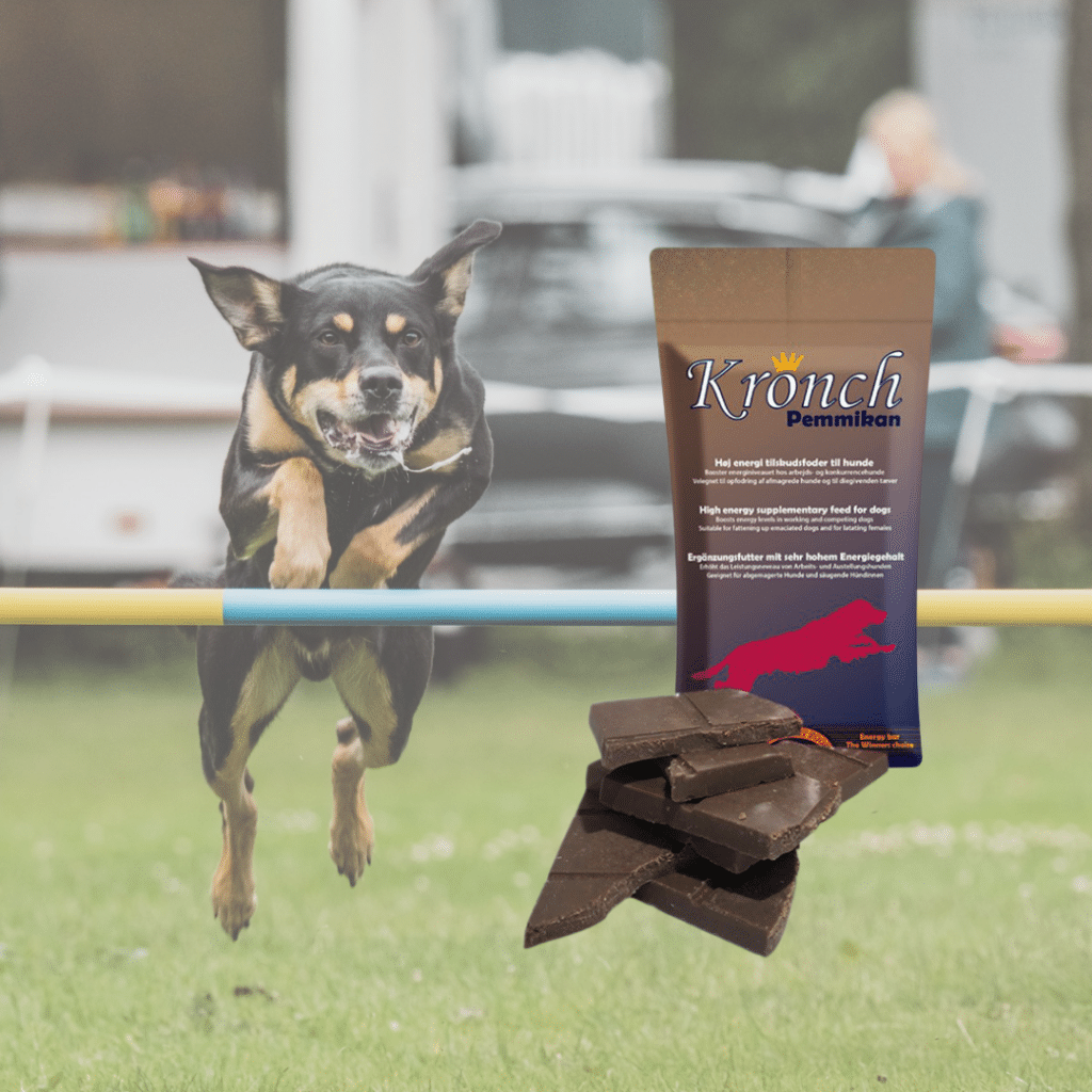 kronch pemmikan energibar til hund