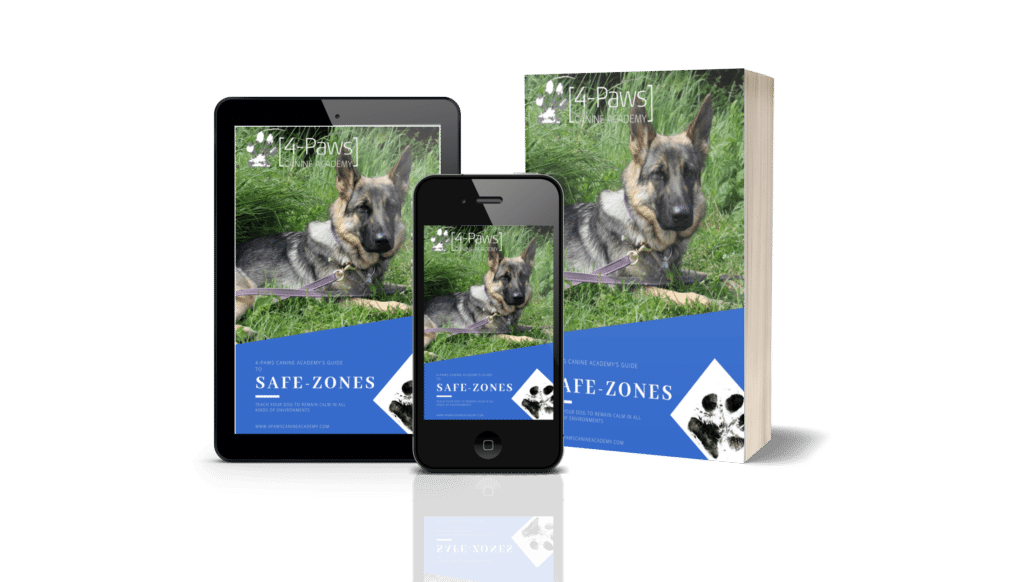 Safezones e-book