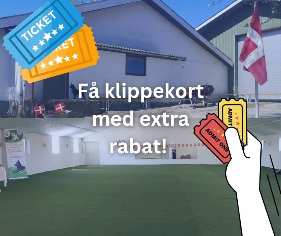 klippekort til hundetræningshal