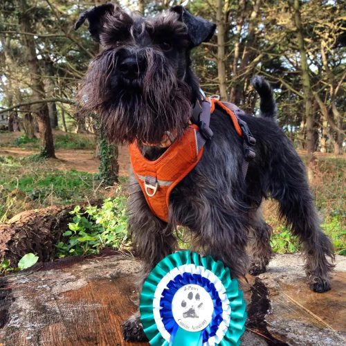 IMG_20200301_091810_293